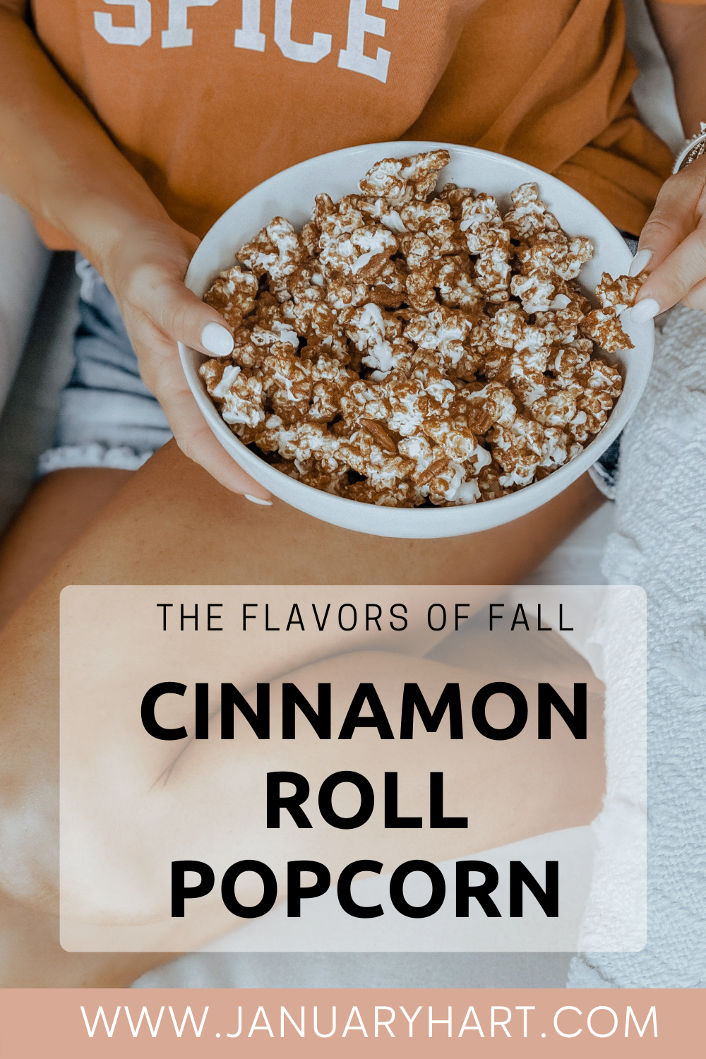 Cinnamon Roll Popcorn Pin Image